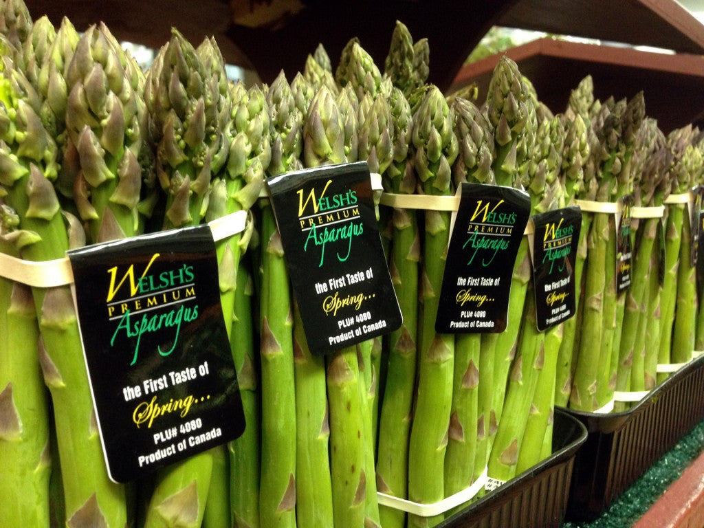 Introducing Elle decor's A-List 2016