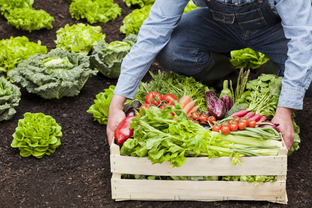 17 Small Space Decorating Tricks ...