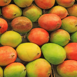 Mango Australia